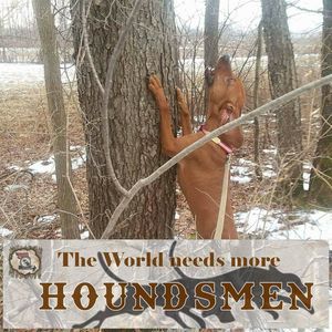 Meet your Posher, Ed